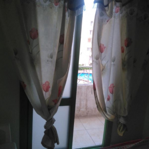 الاسكندرية